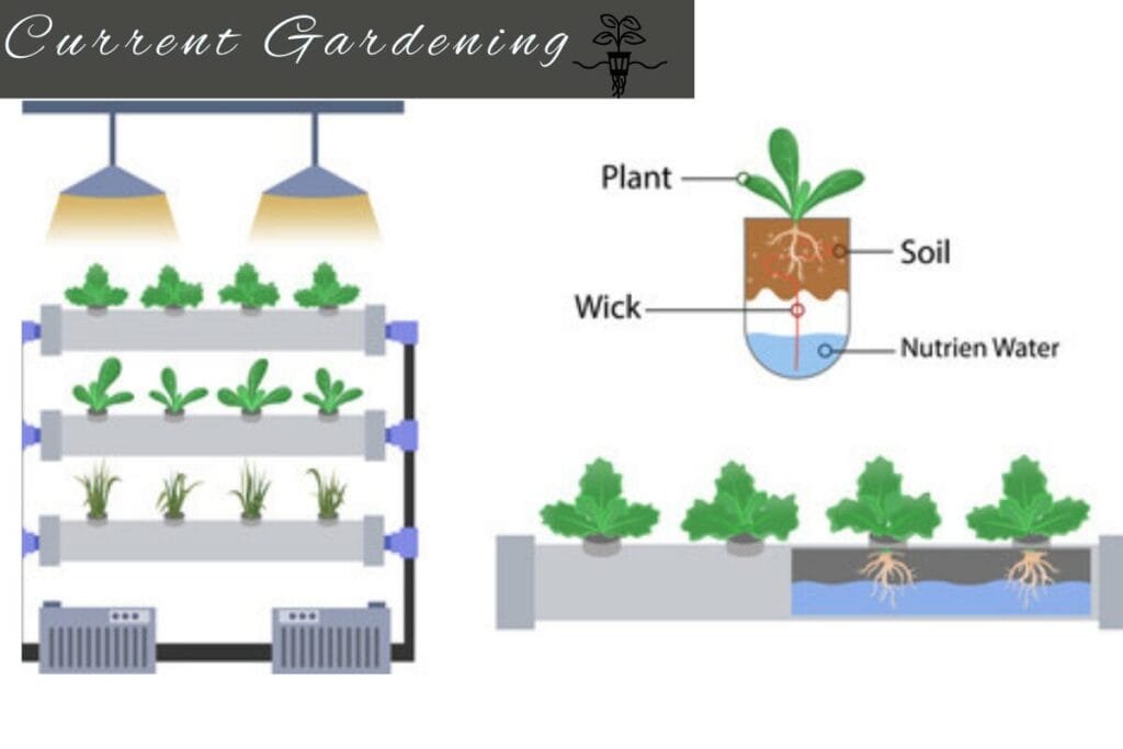 steps hydroponic system
