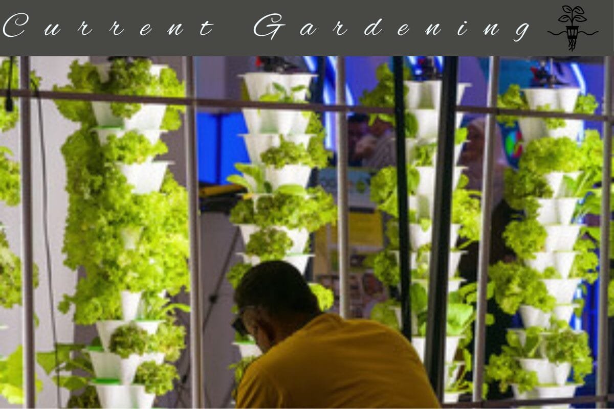 vertical tower hydroponic